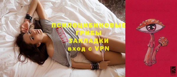 apvp Беломорск