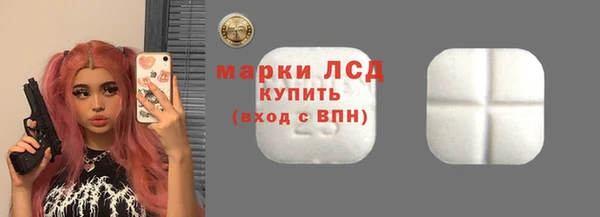 индика Вяземский