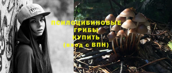 марки lsd Белоозёрский