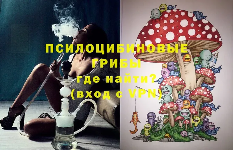 Псилоцибиновые грибы Magic Shrooms  Городец 