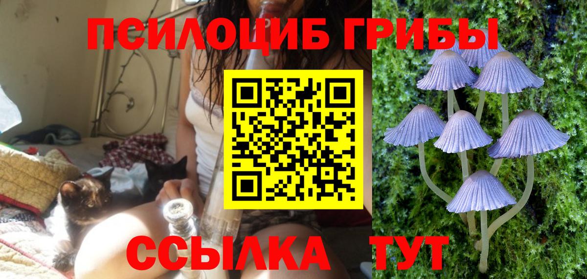 Галлюциногенные грибы Magic Shrooms  Галлюциногенные грибы Psilocybe  Городец 