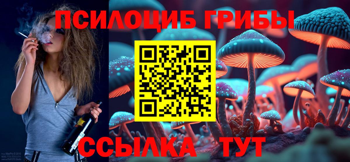 Галлюциногенные грибы MAGIC MUSHROOMS  как найти закладки  Городец  Вход с VPN  Псилоцибиновые грибы Magic Shrooms 