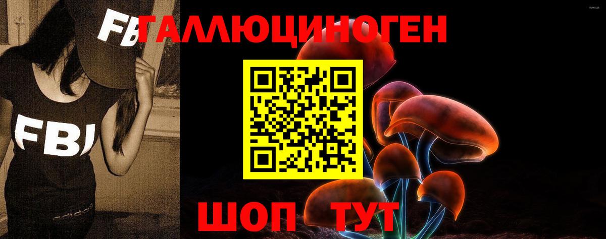 Галлюциногенные грибы ЛСД Городец
