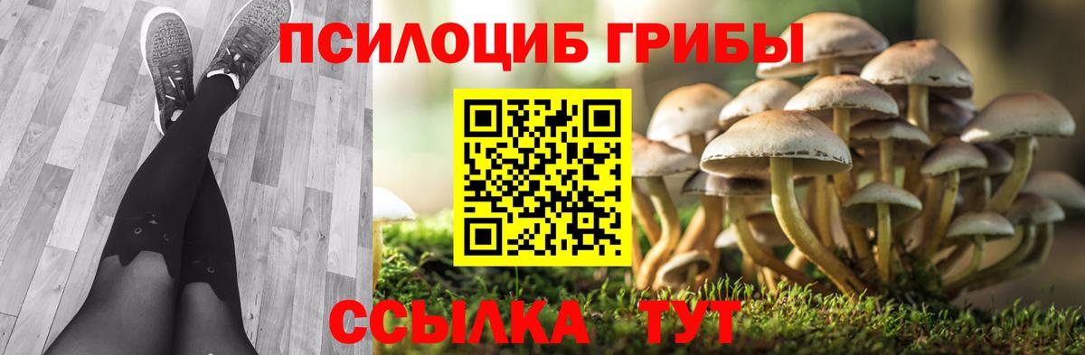 Псилоцибиновые грибы GOLDEN TEACHER Городец